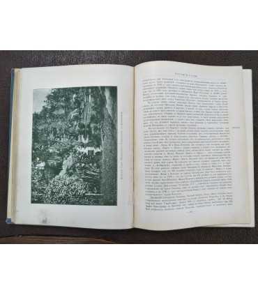 Изящное садоводство