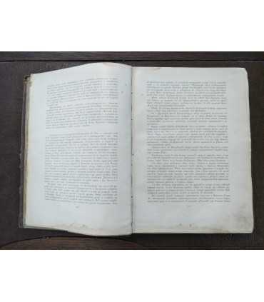 Искусство и художественная промышленность.