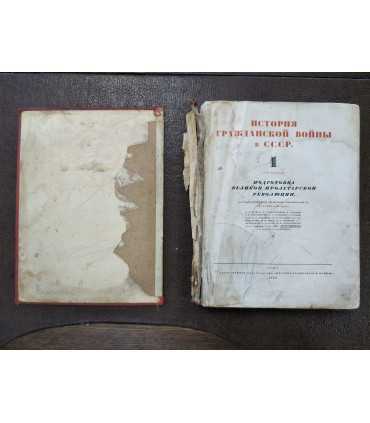 История Гражданской войны в СССР. Том 1.