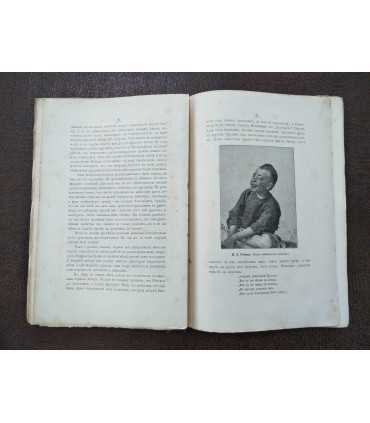 Передвижники и влияние их на русское искусство. – А. Новицкий.