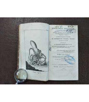 Zoologia Specialis. Том 2