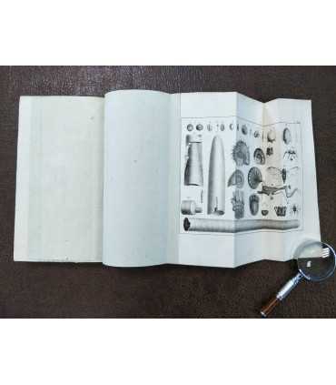 Zoologia Specialis. Том 2