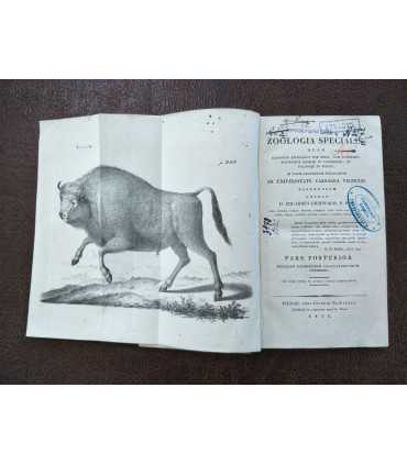 Zoologia Specialis. Том 3