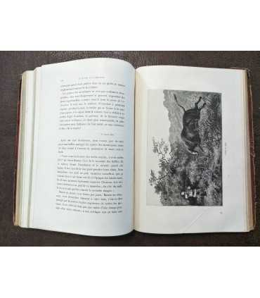 Un hiver au Cambodge par M. Edgar Boulangier