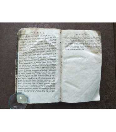 Греко-Латинский словарь