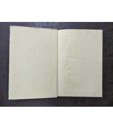 Пао-пао. Илья Сельвинский