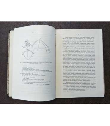 Определитель млекопитающих Российской Империи.