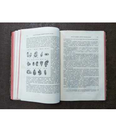 Женские болезни. Руководство для врачей и студентов.