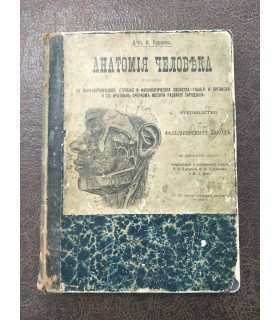 Анатомия человека. Д-ръ И.Бурцевъ.