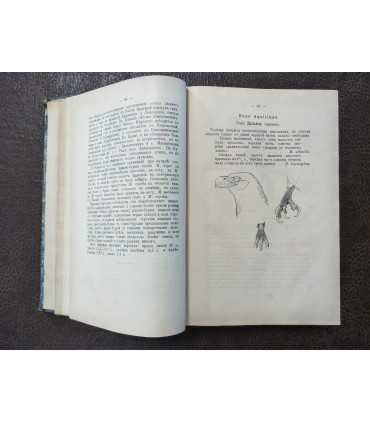 Птицы России. М.А. Мензбира. Том 2