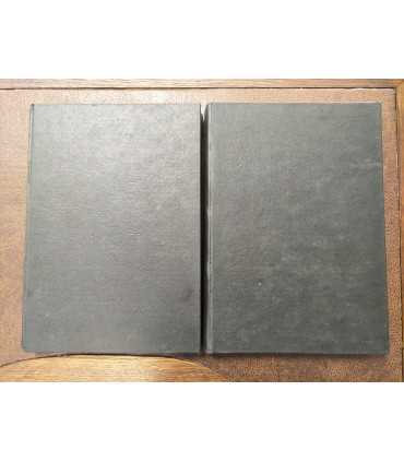 Еженедельный художественно-литературный журнал "Живописное обозрение"