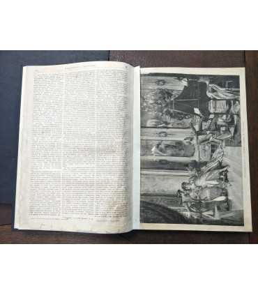 Еженедельный художественно-литературный журнал "Живописное обозрение"