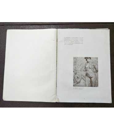 Журнал "Золотое руно", 1908 г. № 10