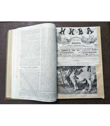 Иллюстрированный журнал "Нива", 1905 год