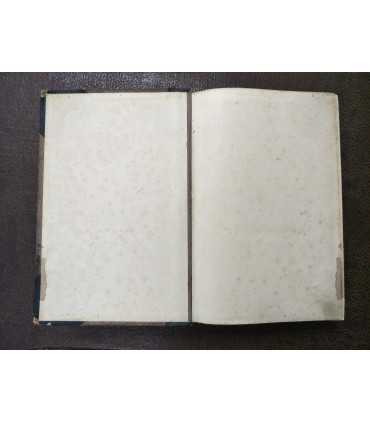 И.Я. Павловский - Русско-немецкий словарь