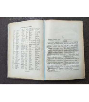 Французско-русский словарь