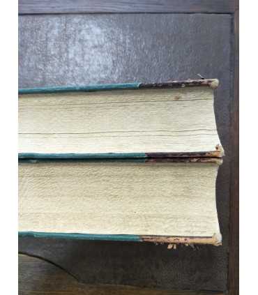 История русской словесности. Том II и III