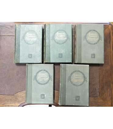 История русской литературы XIX века.