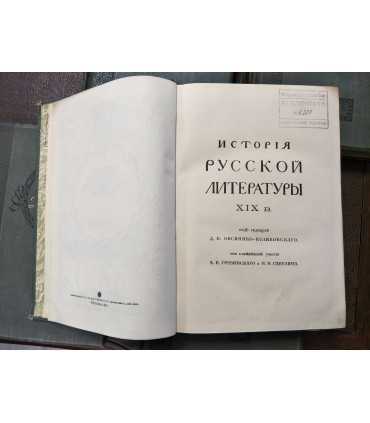 История русской литературы XIX века.