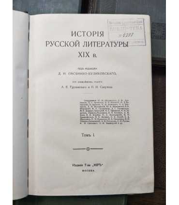 История русской литературы XIX века.