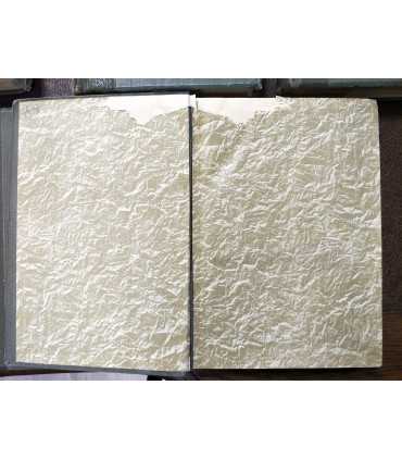 История русской литературы XIX века.