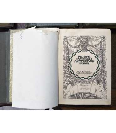 История русской литературы XIX века.