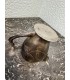 Молочник