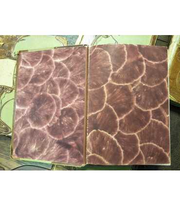 Вселенная и человечество. История исследования природы и приложение ее сил на службу человечеству.