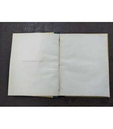 Джованни Боккаччо - Декамерон. Избранные новеллы.