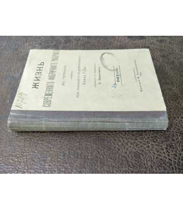 Жизнь современного фабричного рабочего(в Германии)