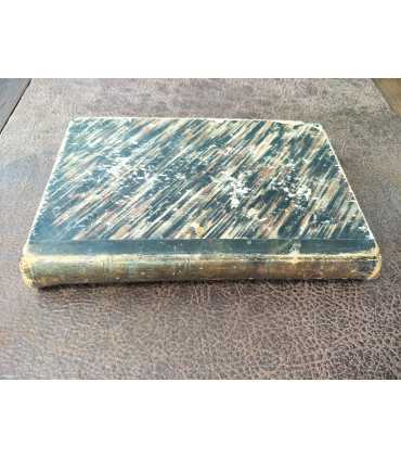 Доисторическая жизнь