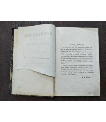 Доисторическая жизнь