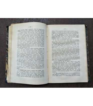 Доисторическая жизнь