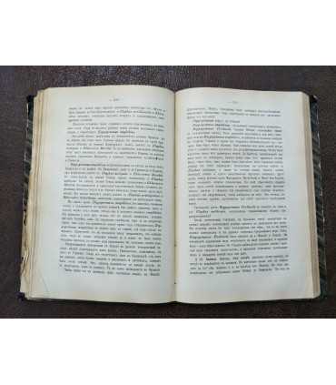 Доисторическая жизнь