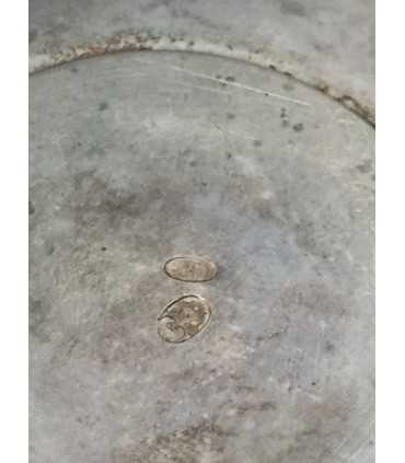 Чайная пара