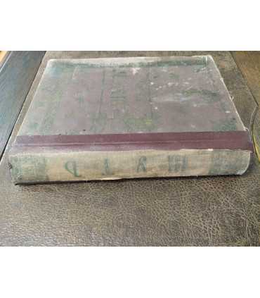 Журнал с карикатурами "Шут"