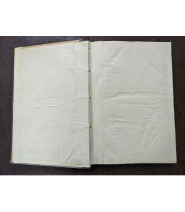 Журнал с карикатурами "Шут"