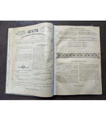 Журнал с карикатурами "Шут"