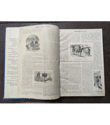 Журнал "Царь-колокол", 1891 г.