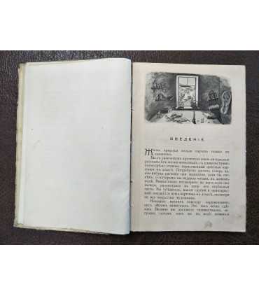 Простейшие работы по изготовлению зоологических и ботанических коллекций в школе и дома.
