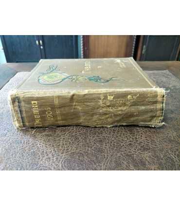 Журнал для детей "Пчёлка"