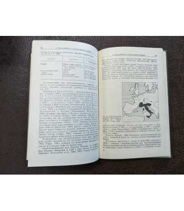 Экология городской фауны