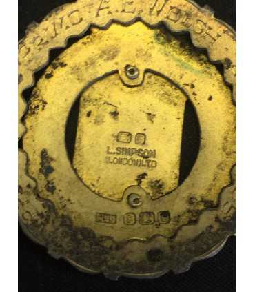 Масонский знак