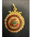 Масонский знак