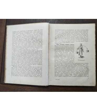 Великая реформа