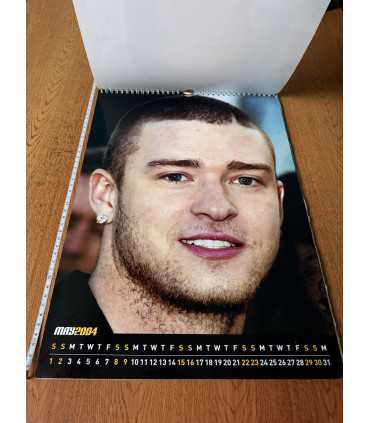 Календарь Timberlake