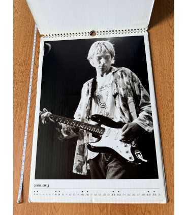 Календарь Nirvana