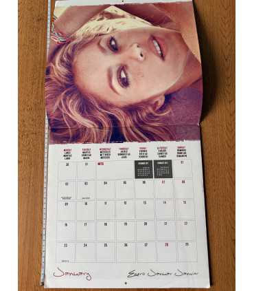 Календарь Shakira