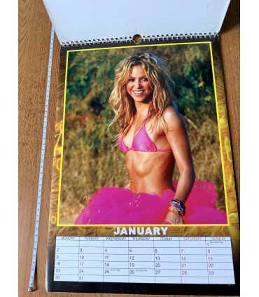 Календарь Shakira