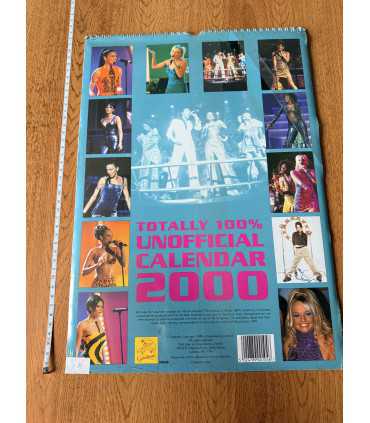 Календарь Totally 100%